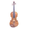 Meistervioline-sima-traian-decke