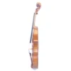 Meistervioline-sima-traian-seite