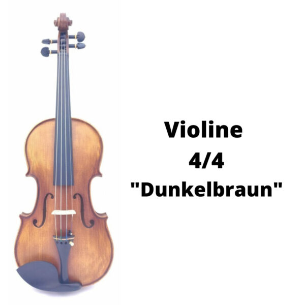 Violine Dunkelbraun