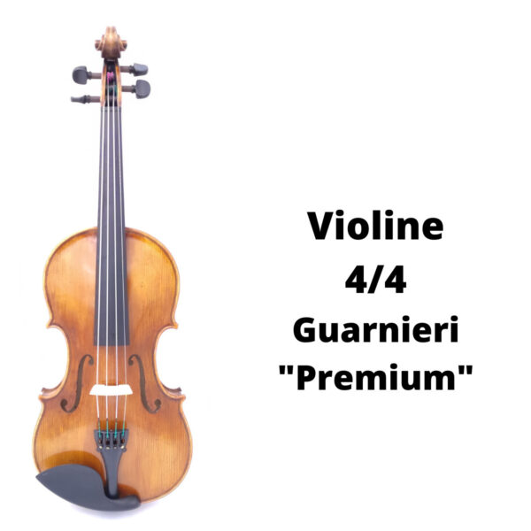 professionelle Geige Violine 4/4 Guarnieri "Premium"