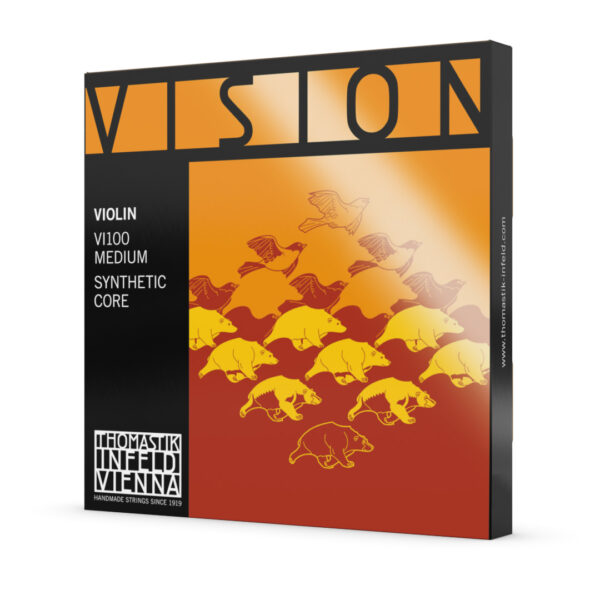 Violin Vision VI100 Front 2