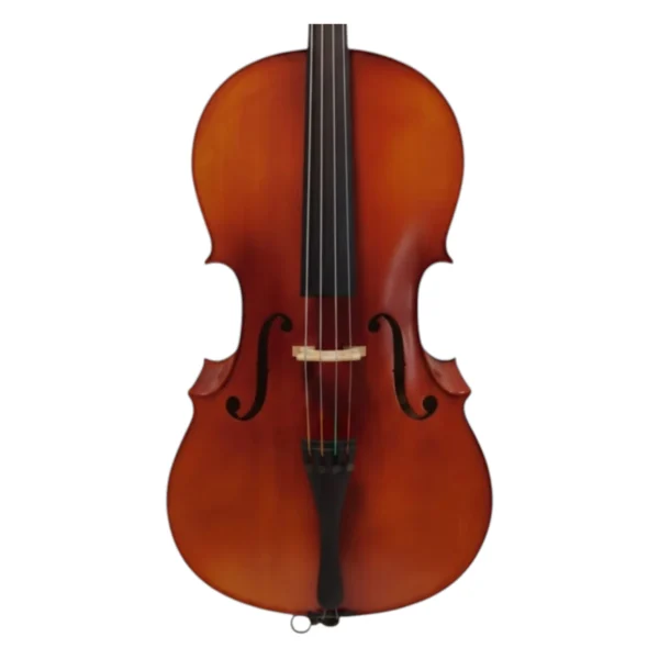 Frandole CEL100 Cover-big